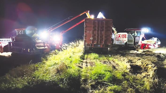 3天抢收1185万亩！湖北打响夏粮夏油保卫战