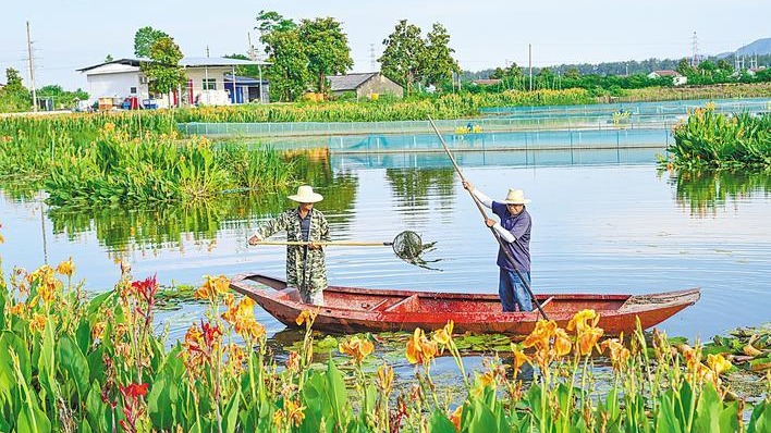 养殖尾水治理与生态修复双赢