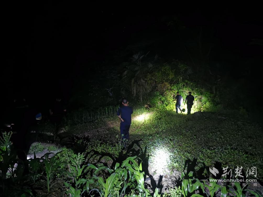 鹤峰公安空地联动成功寻回走失老人