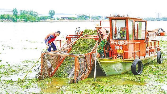 日清垃圾30吨 守护一湖清水