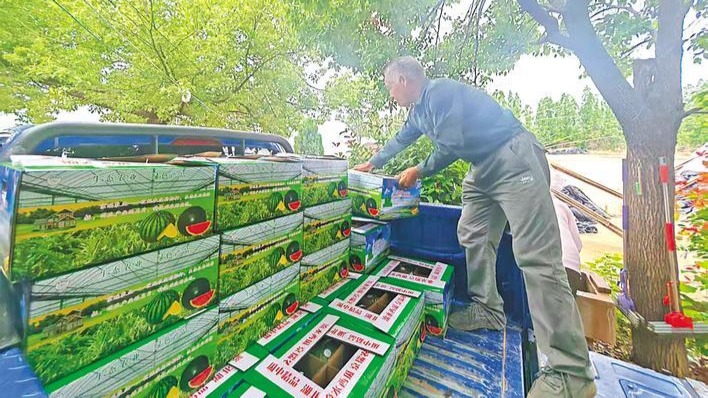 一只流水西瓜长成3.2亿元产业链