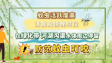 实用防蚊止痒妙招 轻松破解夏日“蚊”题