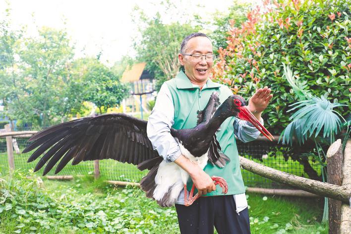 江陵“守鶴人”27年救護(hù)1200多只珍稀鳥類