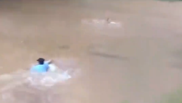 洪水中这一抹蓝拼了命逆行