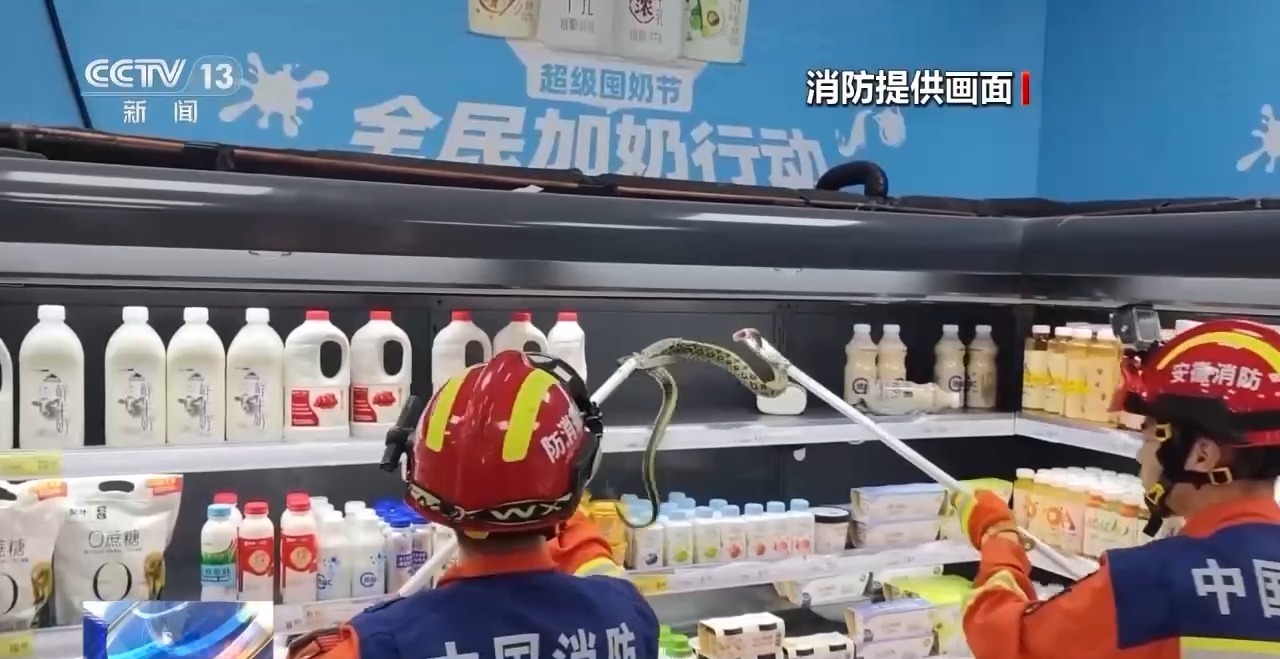遇到蛇类如何应对？这份指南请收好