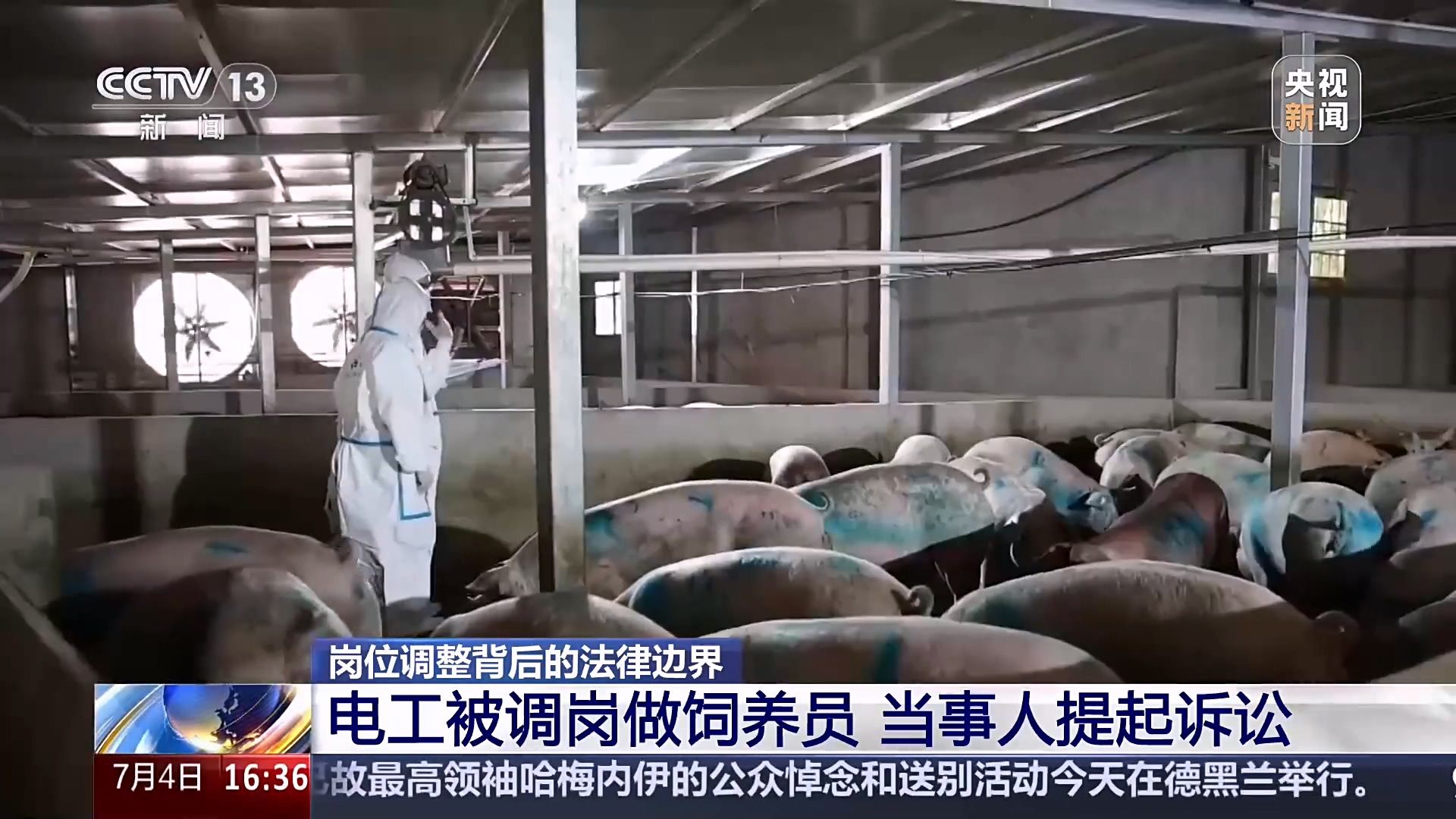 电工被调岗去养猪 如何维权