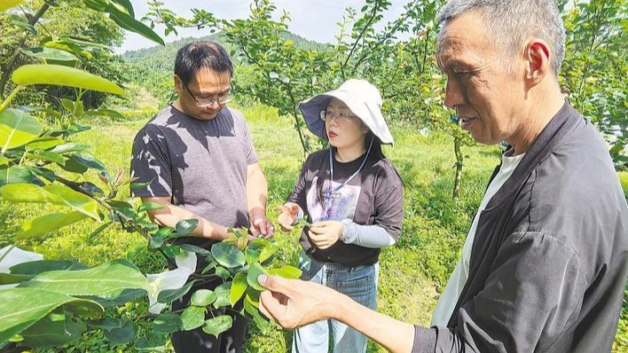 父子两代劳模接力打造“富村山居图”