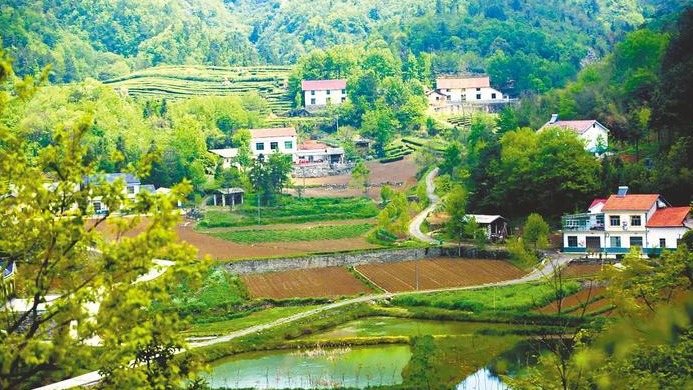 “零碳村”年出栏生猪超3万头猪粪去哪儿了
