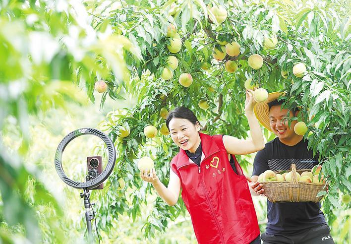 党员志愿者护航水蜜桃丰收路