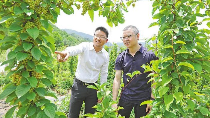他带着笔记本跑遍全村大小山坳 上门调处纠纷