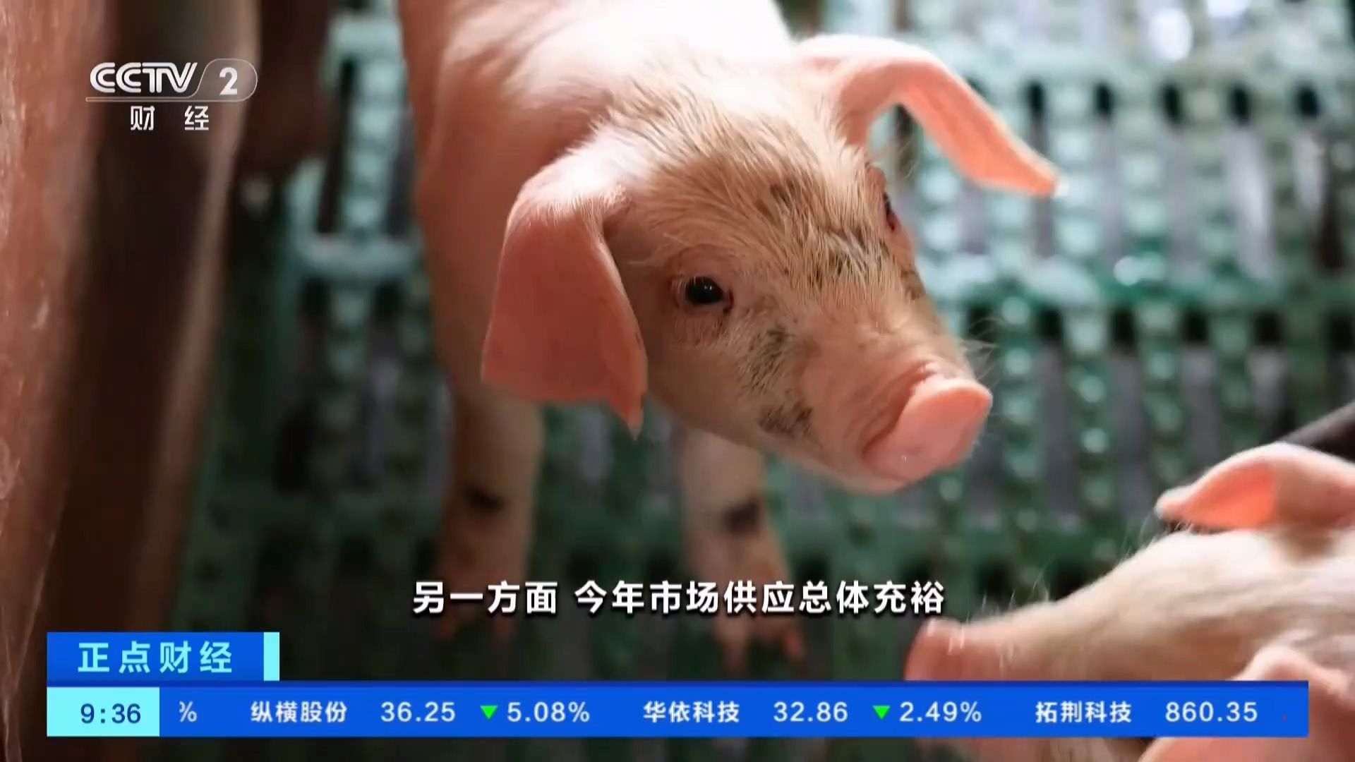 猪肉价格大幅上涨