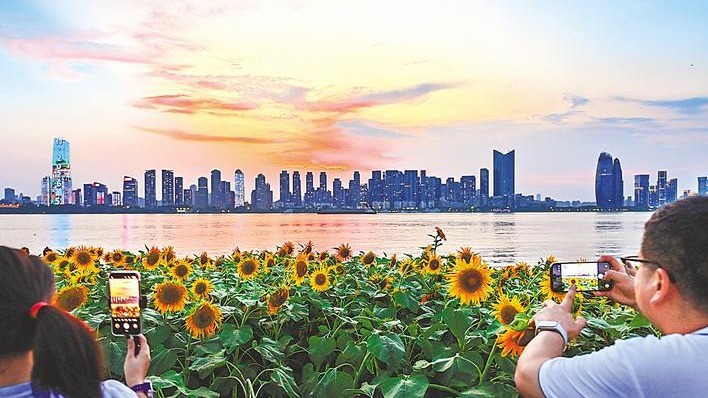 高楼撑起晚霞 花海漫出长江