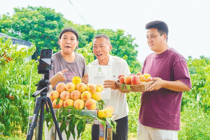 枣阳农文旅的“留量”密码
