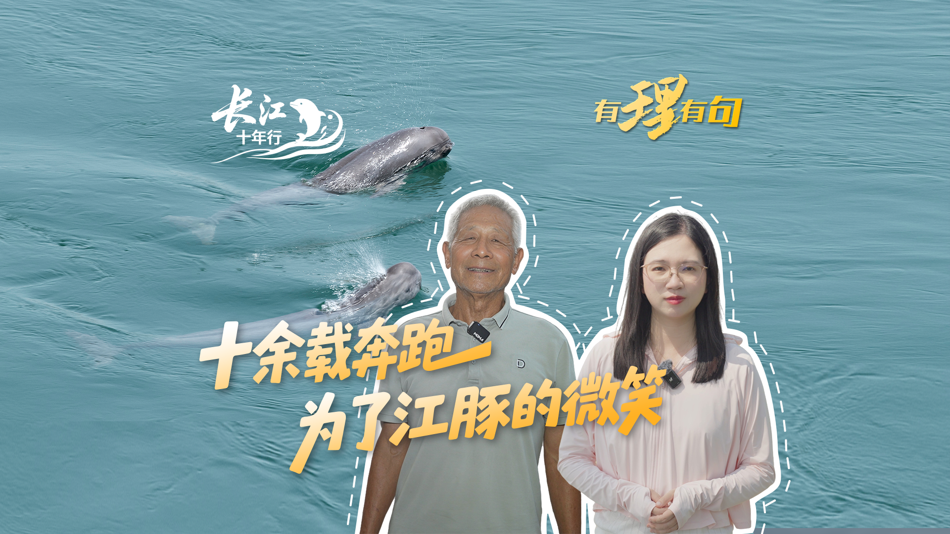 十余载奔跑，为了江豚的微笑