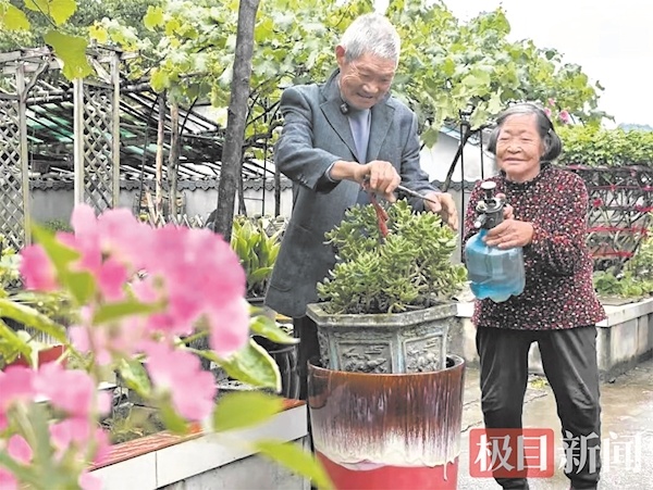 长阳八旬翁为老伴打造山间花园
