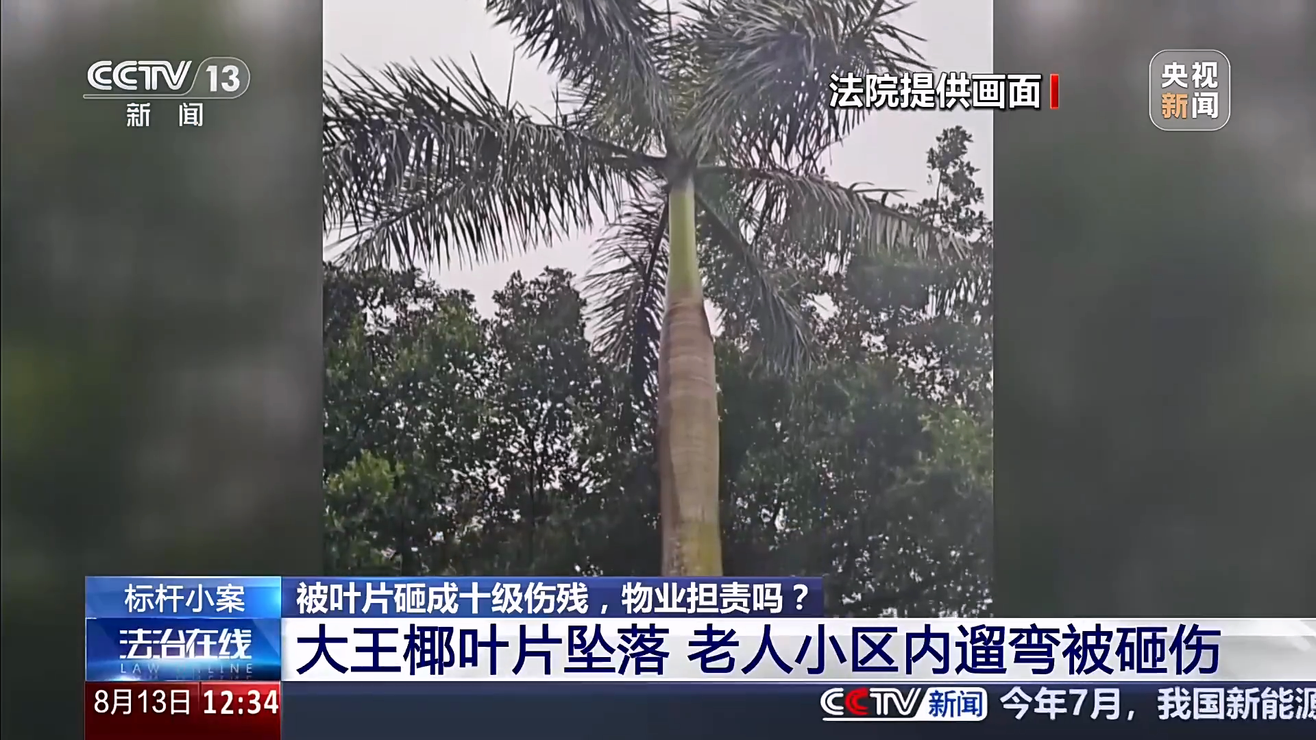 老人被落叶砸伤物业担责赔4万