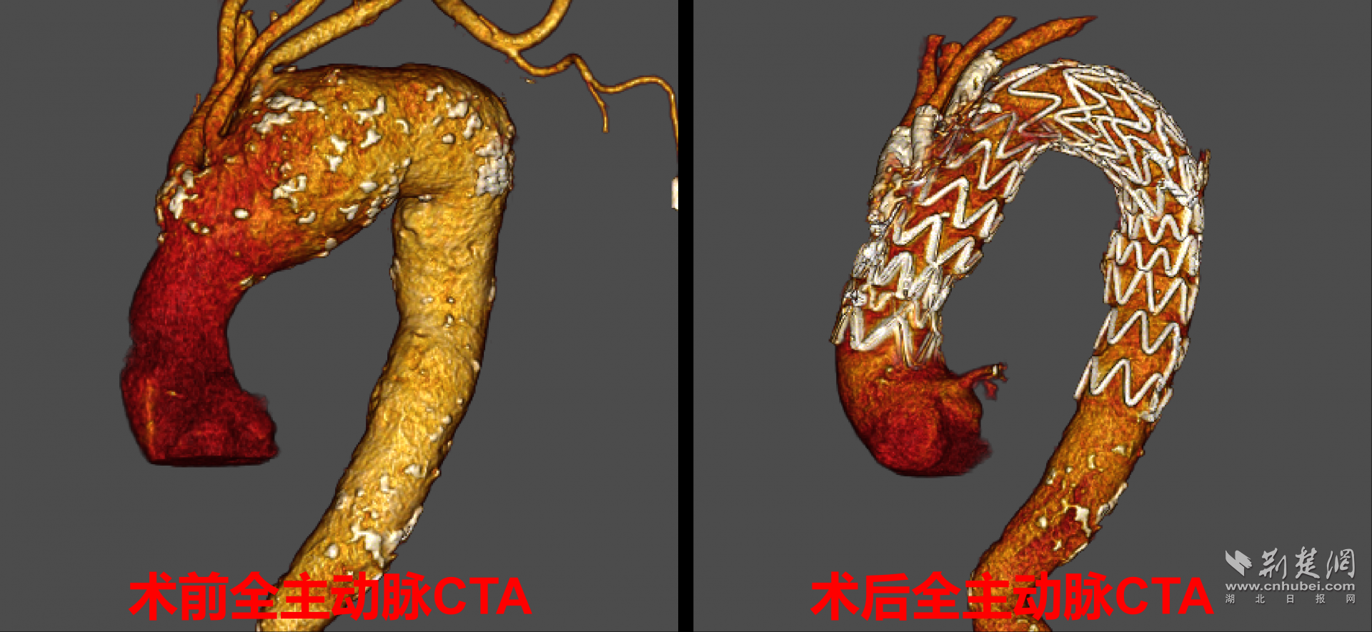 微信图片_2026-08-10_162640_653.png.png