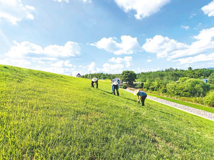 京山防汛险点变身旅拍打卡地