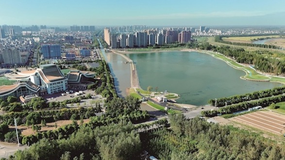 秋染潜江：满城芳华入画来