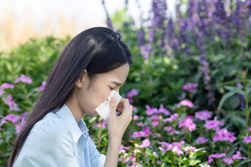 秋季花粉过敏季到来 易感人群如何防范？一文详解