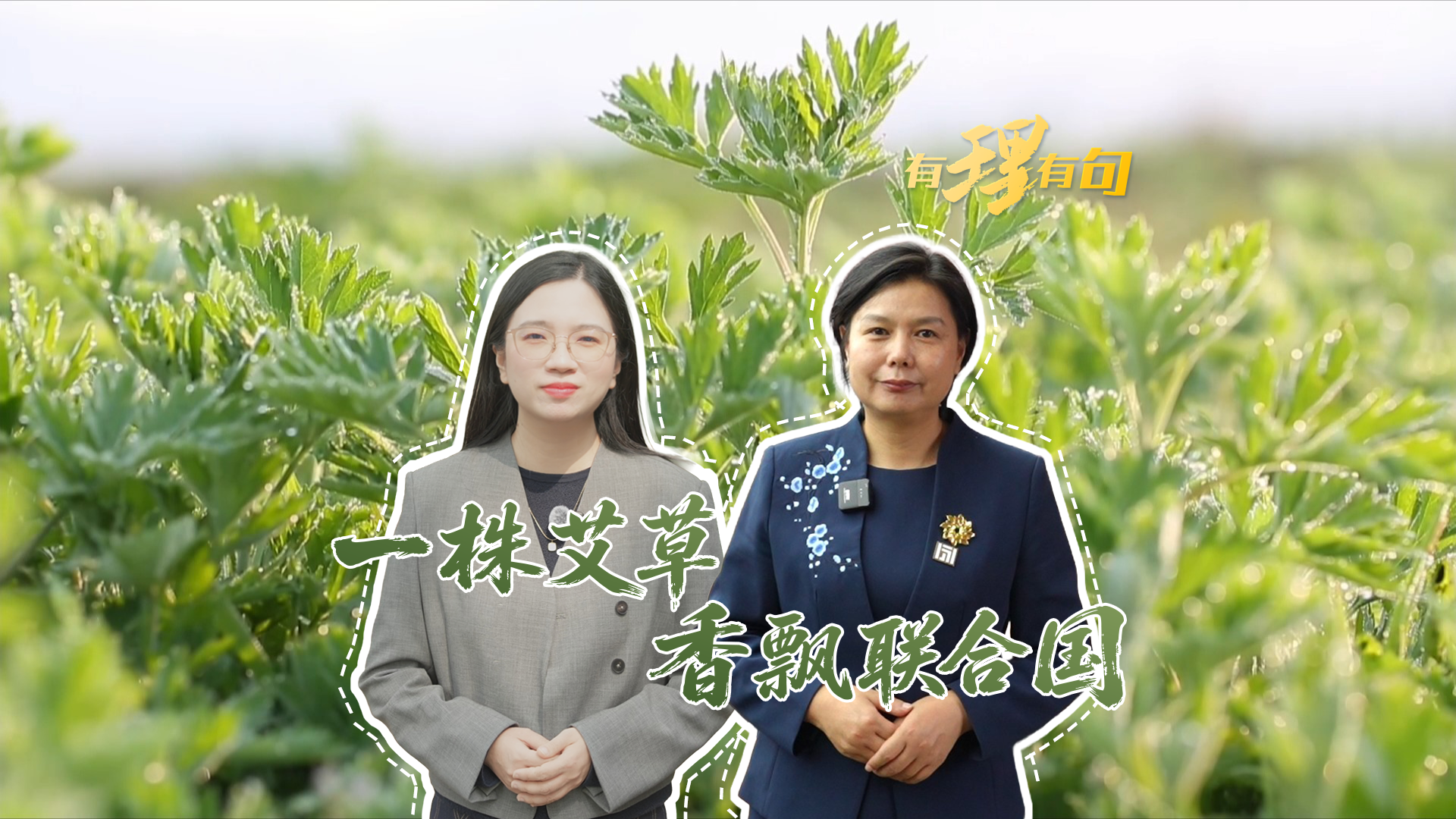 一株艾草，香飘联合国