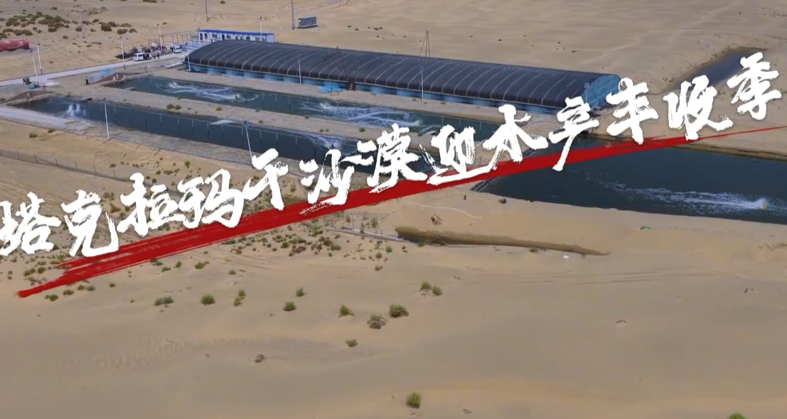 塔克拉玛干海鲜丰收了