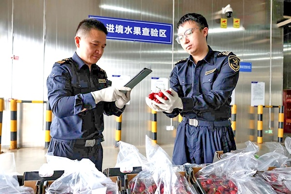 今年首批智利车厘子空降花湖机场