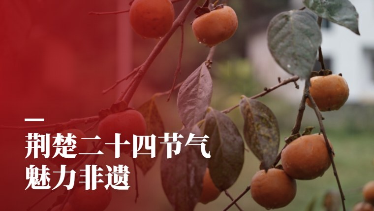 荆楚二十四节气·魅力非遗