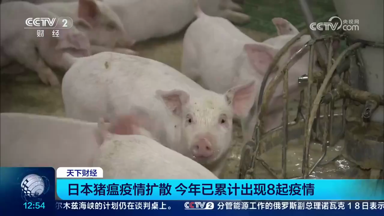 日本已出现8起猪瘟疫情