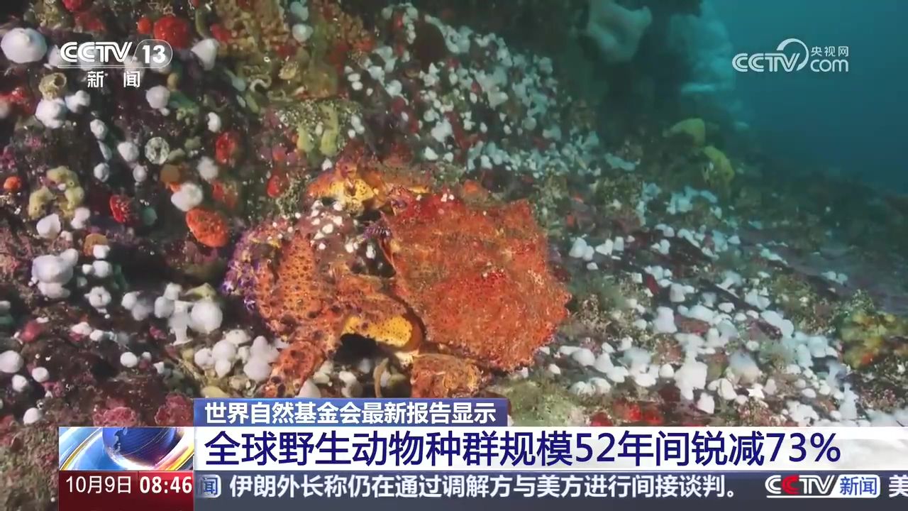 全球野生动物种群规模52年间骤减73%