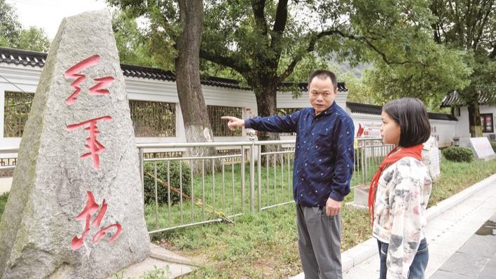 探访扎根在荆楚大地上的红军树