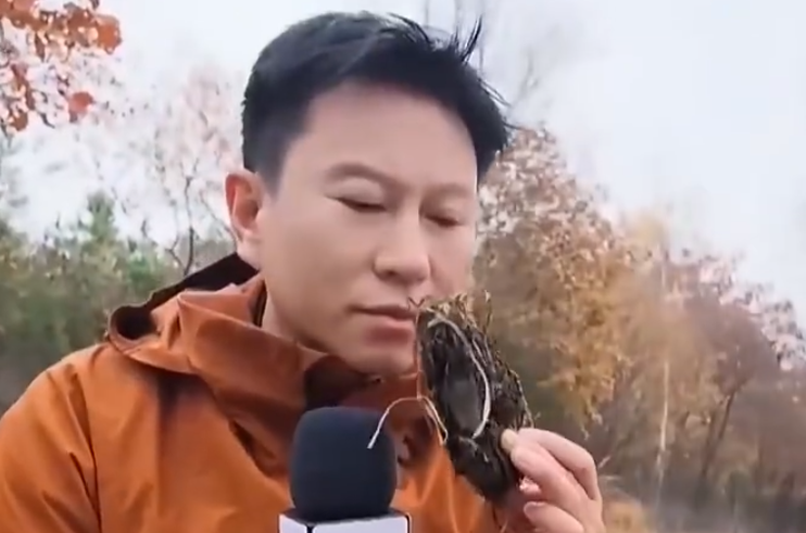 老虎与山林的“共享法则”