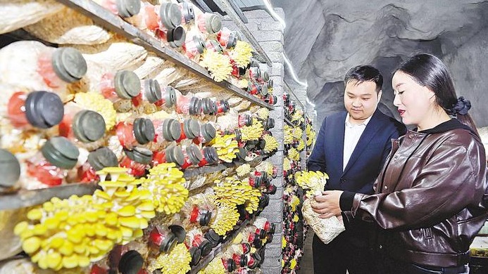 废矿洞变身“绿色宝库”