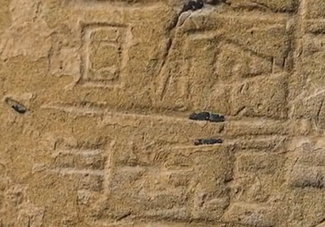 人类5000年前就在做Excel了