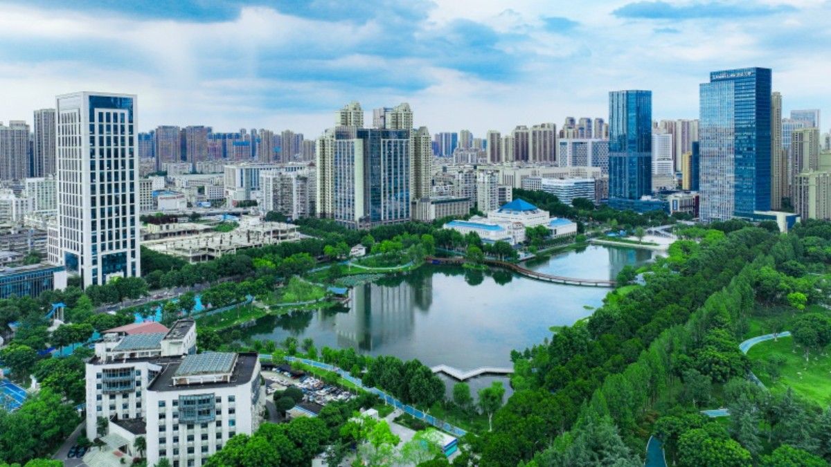行进中国丨在“最小城区”凝聚治理“最大公约数”