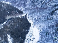 冬季北山的“林海雪原”