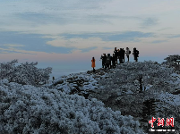 黃山迎來(lái)今冬第三場(chǎng)雪 云海霧凇壯美景觀齊現(xiàn)