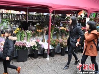 福州新年花市：古坊巷成最美“花街”