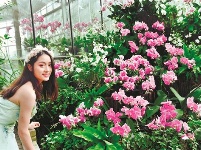 武汉植物园热带兰展开幕 上万株珍奇兰花竞相绽放