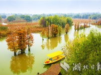 孝感朱湖濕地公園入列“國家隊(duì)”