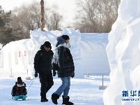 第六届全国大学生雪雕比赛在太阳岛落幕 