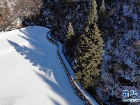 冬季北山的“林海雪原”