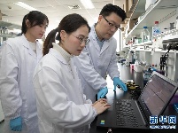 我国科学家创建世界首例生物节律紊乱体细胞克隆猴模型