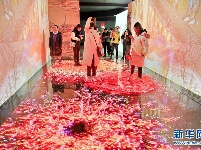 北京故宫：“宫里过大年”数字沉浸体验展开幕
