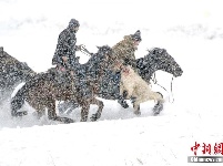 新疆伊宁县冰雪旅游活动上演刁羊、鹰猎比赛