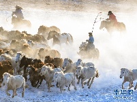 雪原奔马