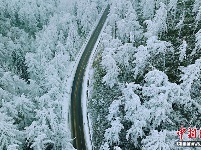 湖北现“林海雪原” 银装素裹风景如画