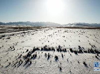 雪落千年马场