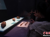 “法老的国度——古埃及文明展”亮相杭州