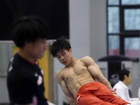 中日男子体操队在北京进行公开训练
